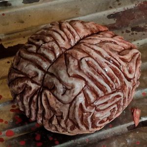 cerebro de silicona - silicone brain