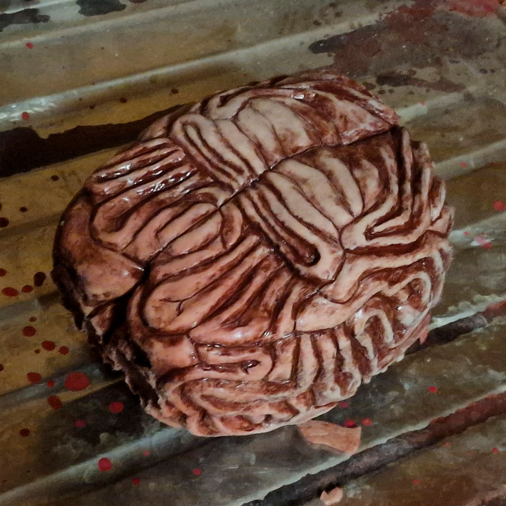 cerebro de silicona - silicone brain