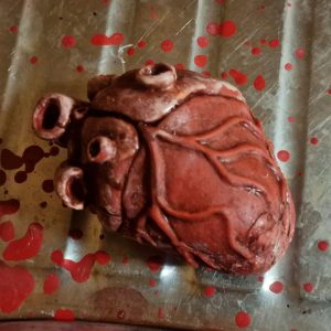 corazón humano de silicona - silicone human heart