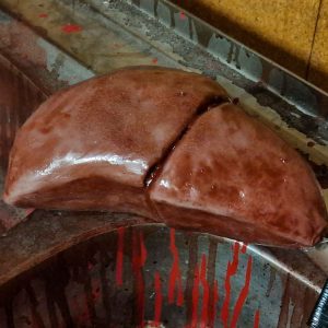 Hígado de silicona - Silicone liver