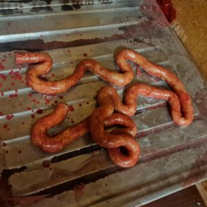 Intestino delgado de silicona - silicone small intestine