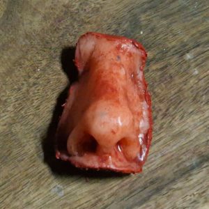 nariz cortada de silicona - silicone severed nose