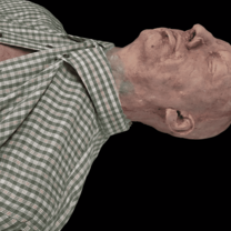Complete human body with organs - Image 4