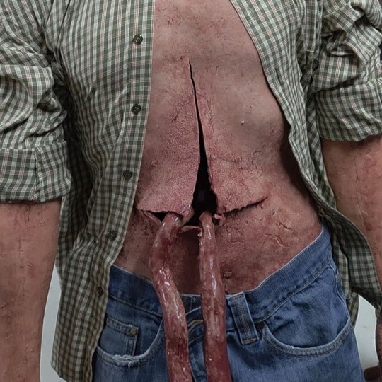 Complete human body with organs